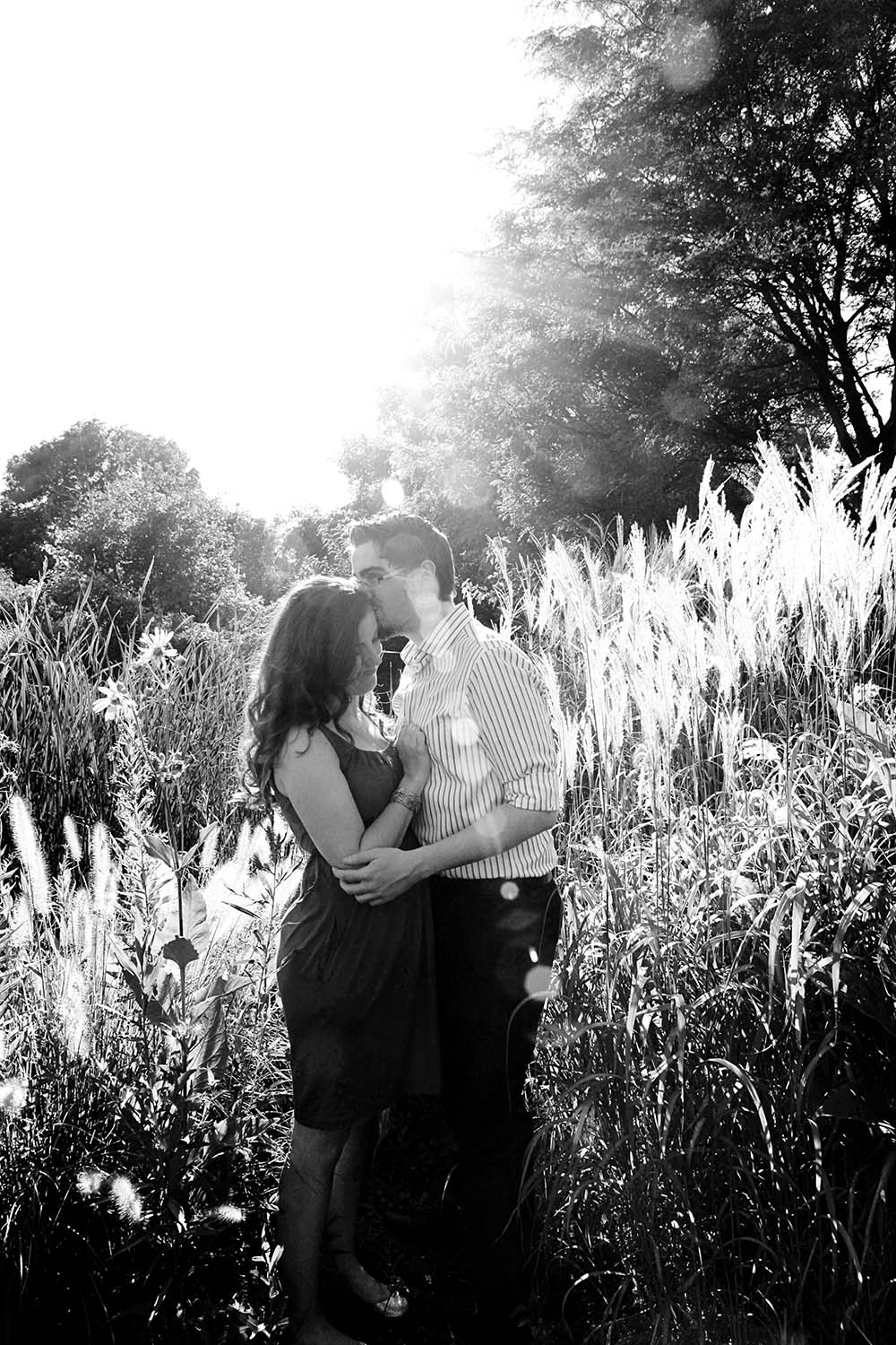 Katie & Mike, sunlight, backlit, Engaged couple, black and white, gardens, park, Illinois, wedding, photographer, Minneapolis, Minnesota, Twin Cities, photography