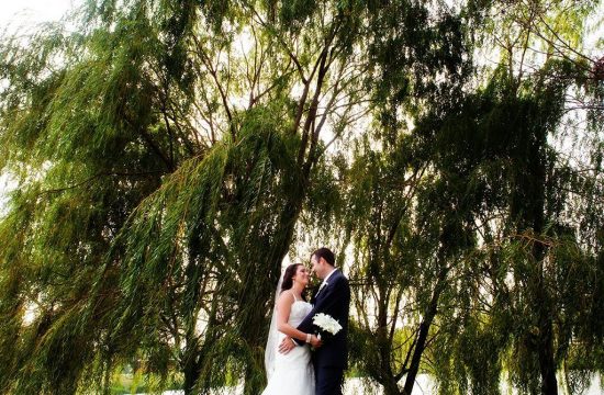 Elk Grove Village, Illinois Chicago Wedding Photography, Minneapolis Wedding Photographer, Willow Tree Wedding Portrait